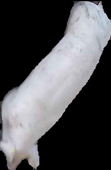 Crop