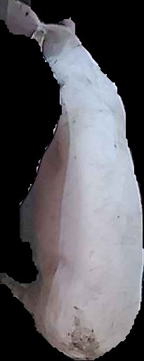 Crop