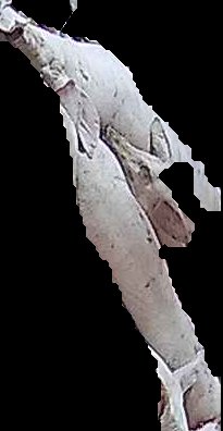 Crop