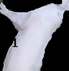 Crop