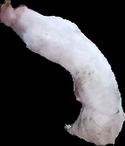 Crop