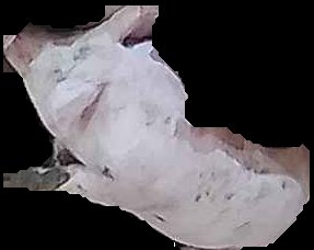 Crop