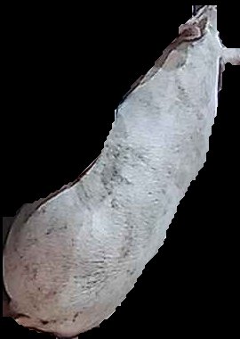 Crop