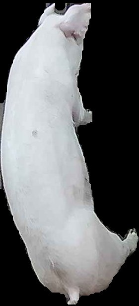 Crop