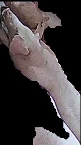 Crop