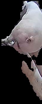 Crop