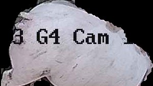 Crop