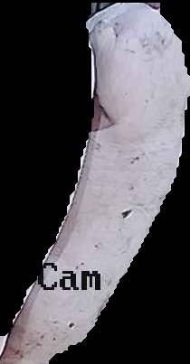 Crop