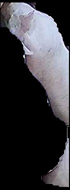 Crop