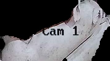 Crop