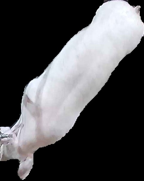 Crop