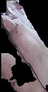 Crop