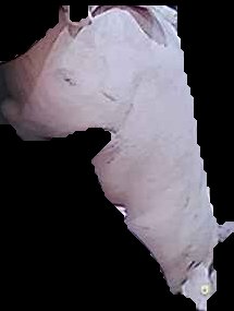 Crop