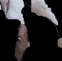 Crop
