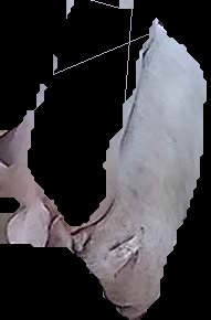 Crop