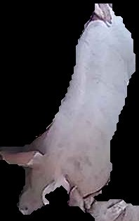 Crop