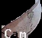 Crop