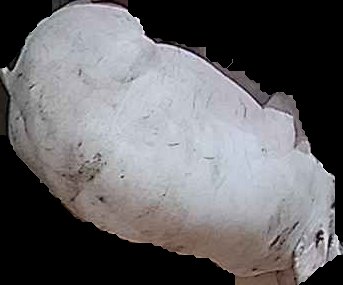 Crop