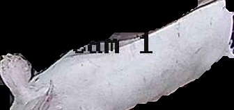Crop