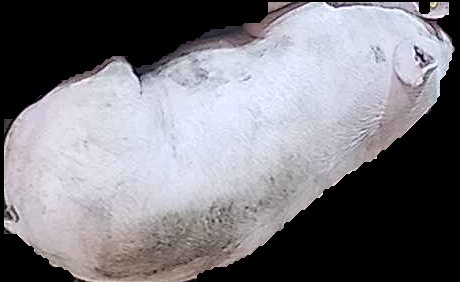 Crop
