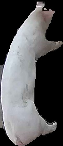 Crop