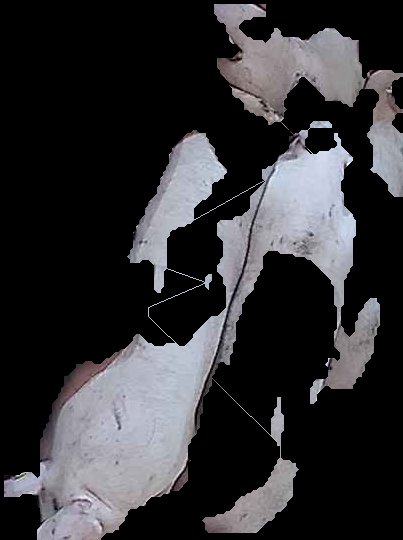 Crop