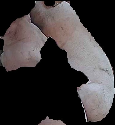 Crop