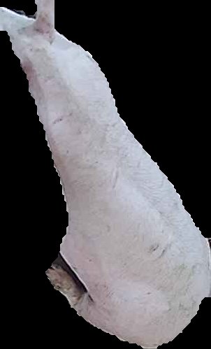 Crop