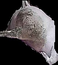 Crop