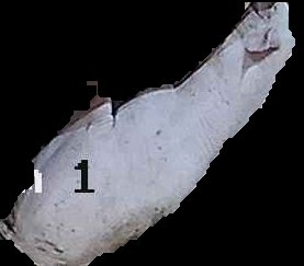 Crop