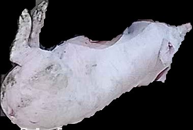 Crop