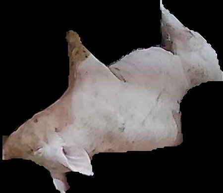Crop