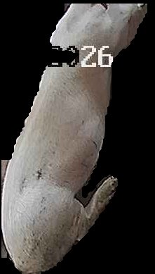 Crop