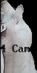 Crop