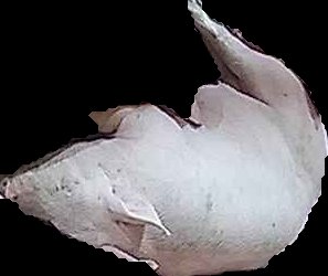 Crop