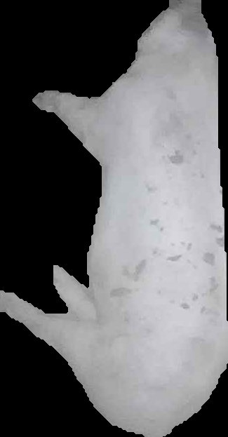 Crop