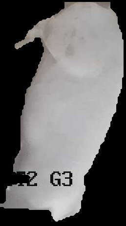 Crop