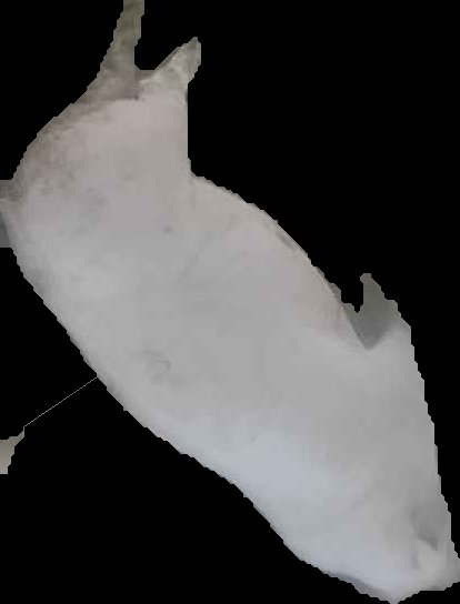 Crop