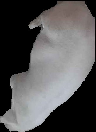 Crop