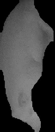 Crop