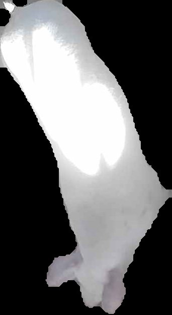 Crop