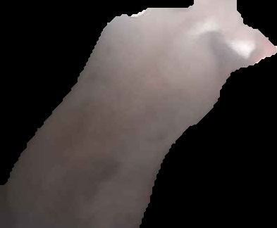 Crop