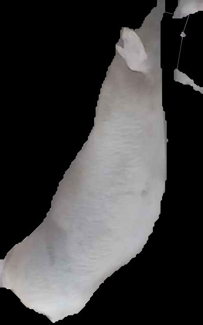 Crop