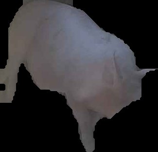Crop