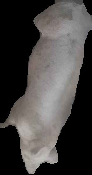 Crop