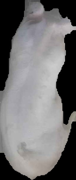 Crop