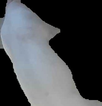 Crop