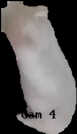 Crop