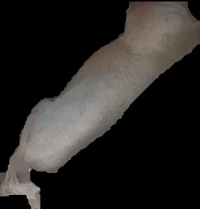 Crop