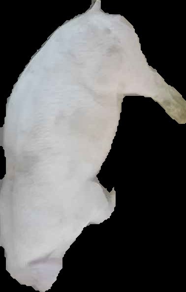Crop